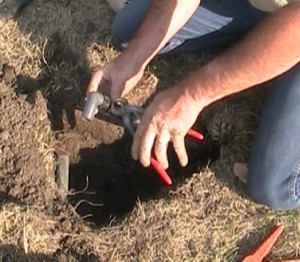 Sprinkler Repair Sprinkler Repair